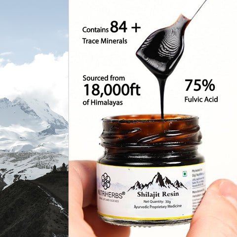 Shilajit Resin 30gm