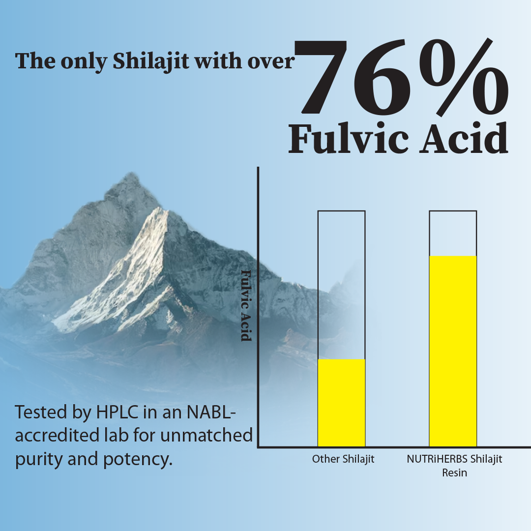 Original Shilajit Resin