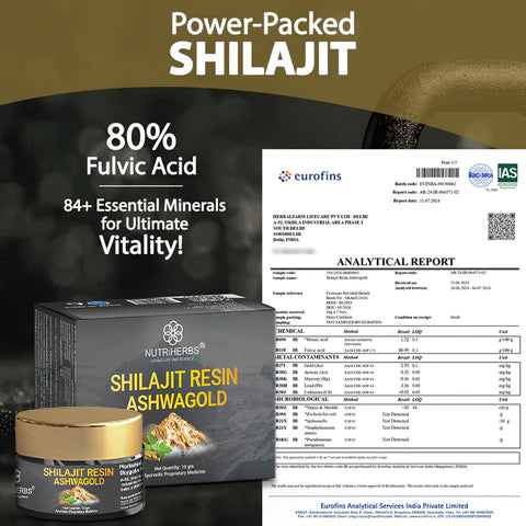 shilajit lab report