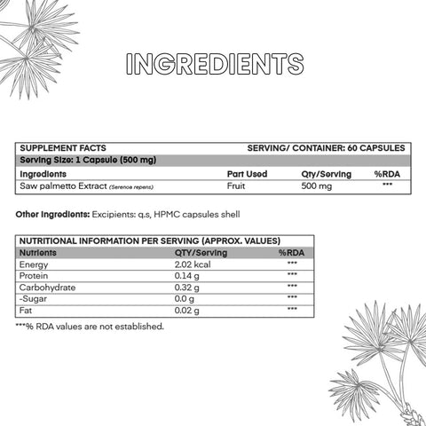 Saw Palmetto Capsules for Support Prostate