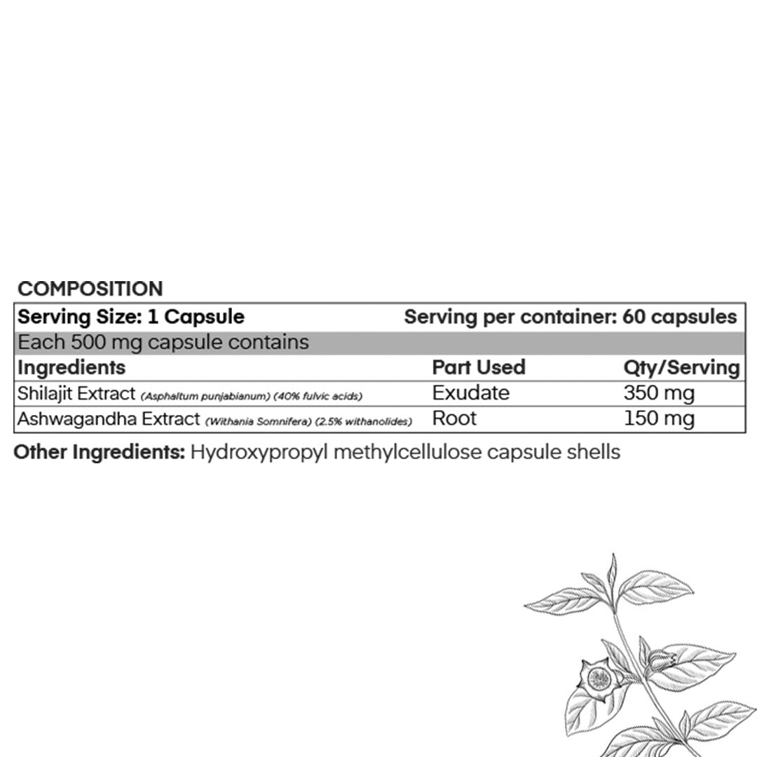 Shilajit Extract Caps