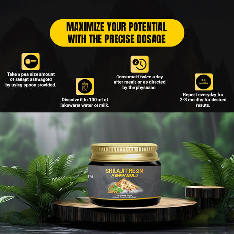 Original Shilajit Resin Ashwagold F - 10 gram