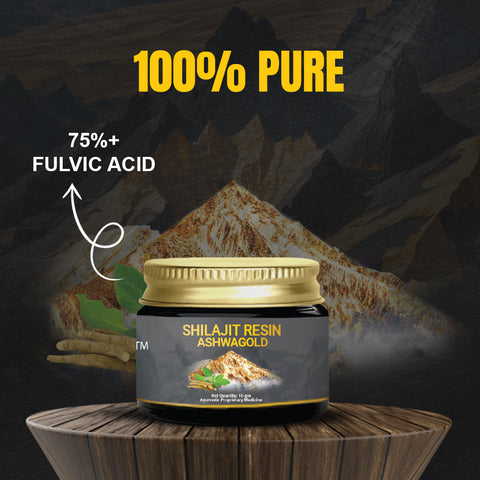 Original Shilajit Resin Ashwagold F - 10 gram