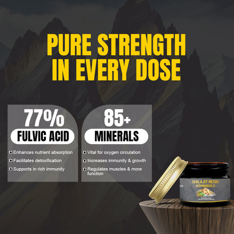Original Shilajit Resin Ashwagold F - 10 gram