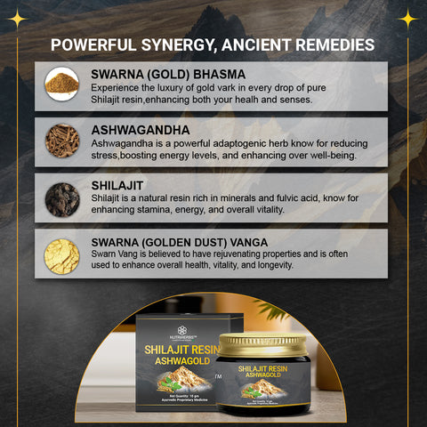 Original Shilajit Resin Ashwagold F - 10 gram