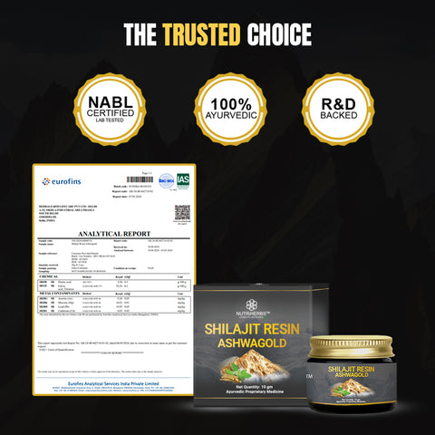 Original Shilajit Resin Ashwagold F - 10 gram