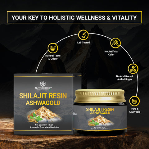 Original Shilajit Resin Ashwagold F - 10 gram