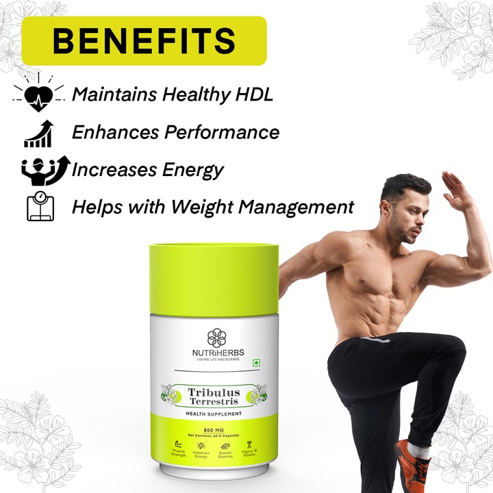 Tribulus Terrestris (Gokshura) Capsules for Stamina