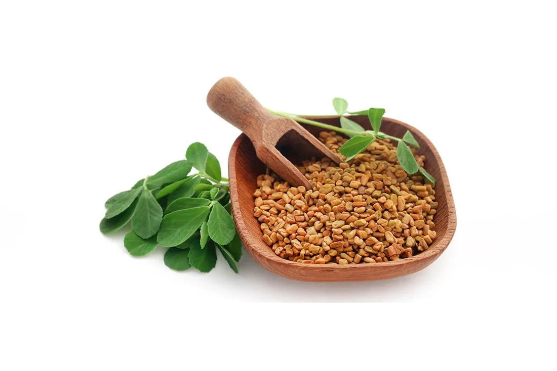 Why you should consider adding Fenugreek to your diet?