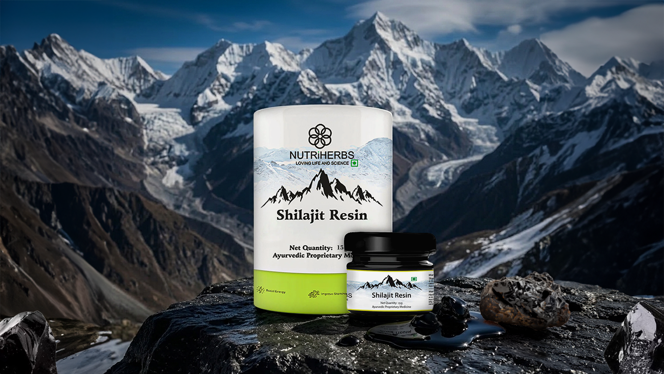 Best Shilajit Resin in India 2026 — Buyer's Guide