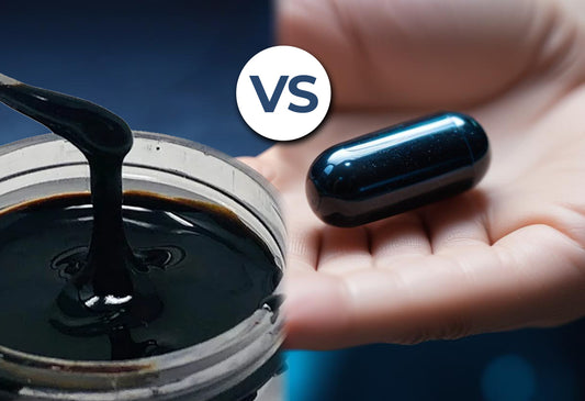 Shilajit Resin vs. Capsule: A Head-to-Head Comparison