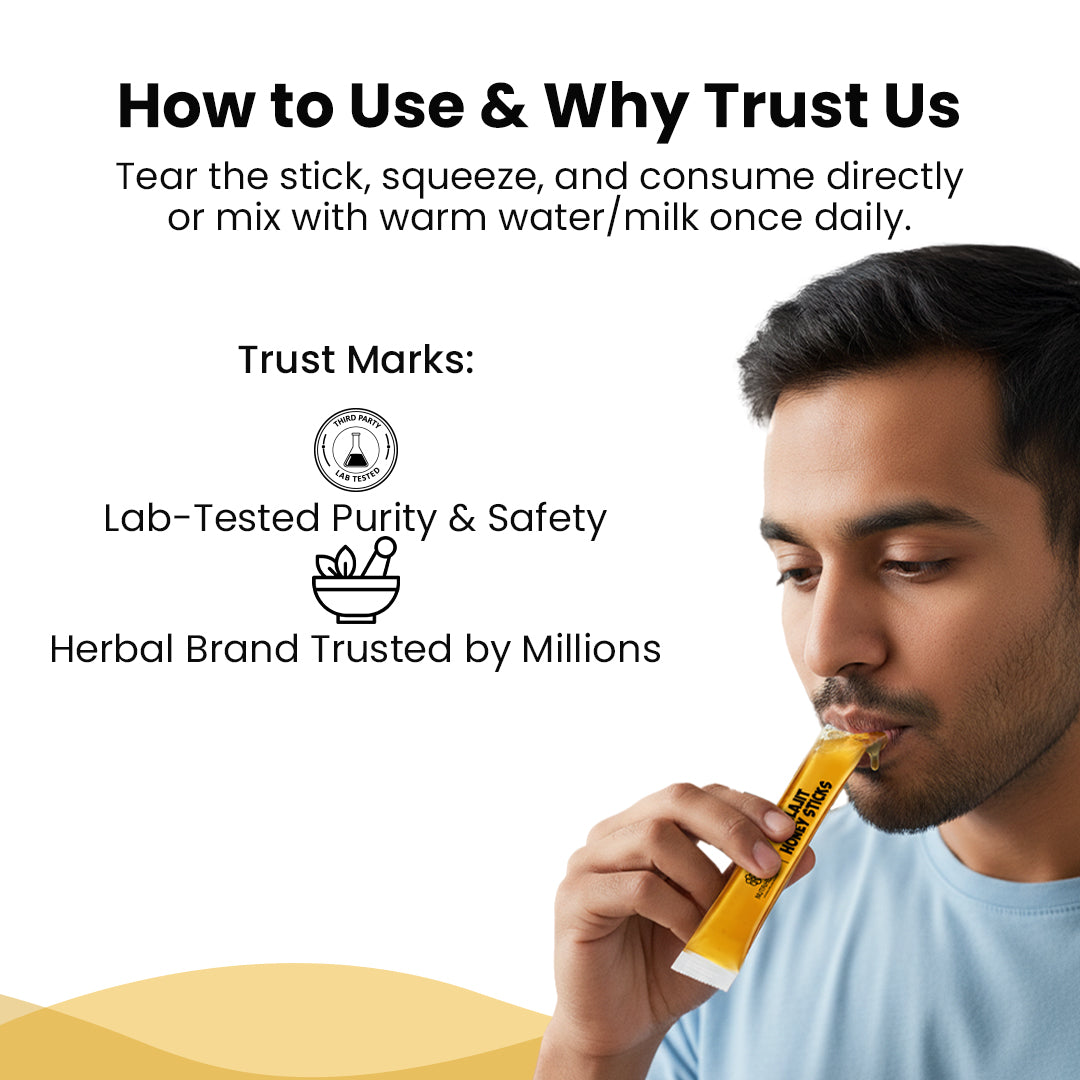 Shilajit Honey Sticks