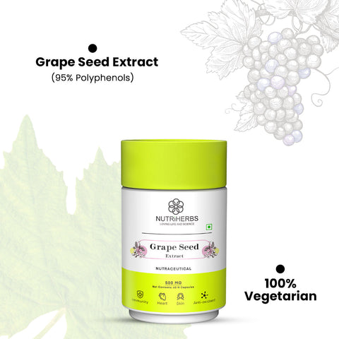 Grapes Seed Extract  Supplement