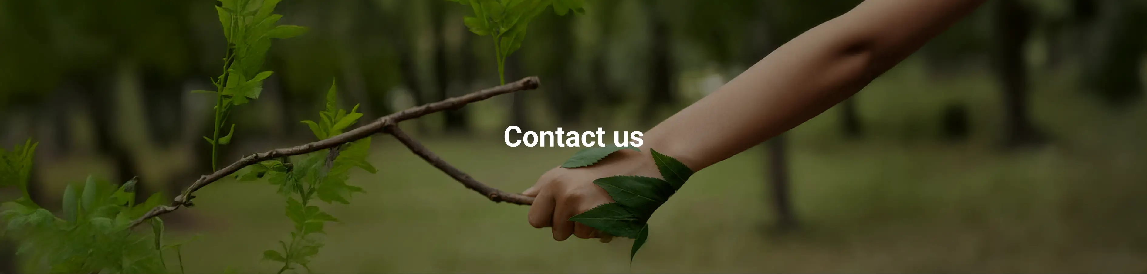 Banner Desktop