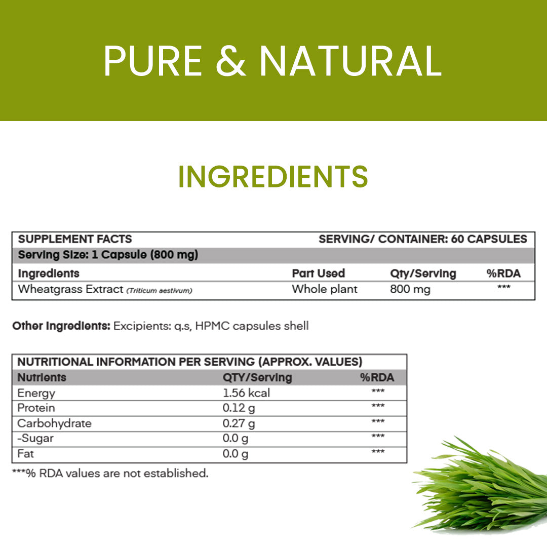 Wheatgrass – Natural Green Superfood Capsules image 5
