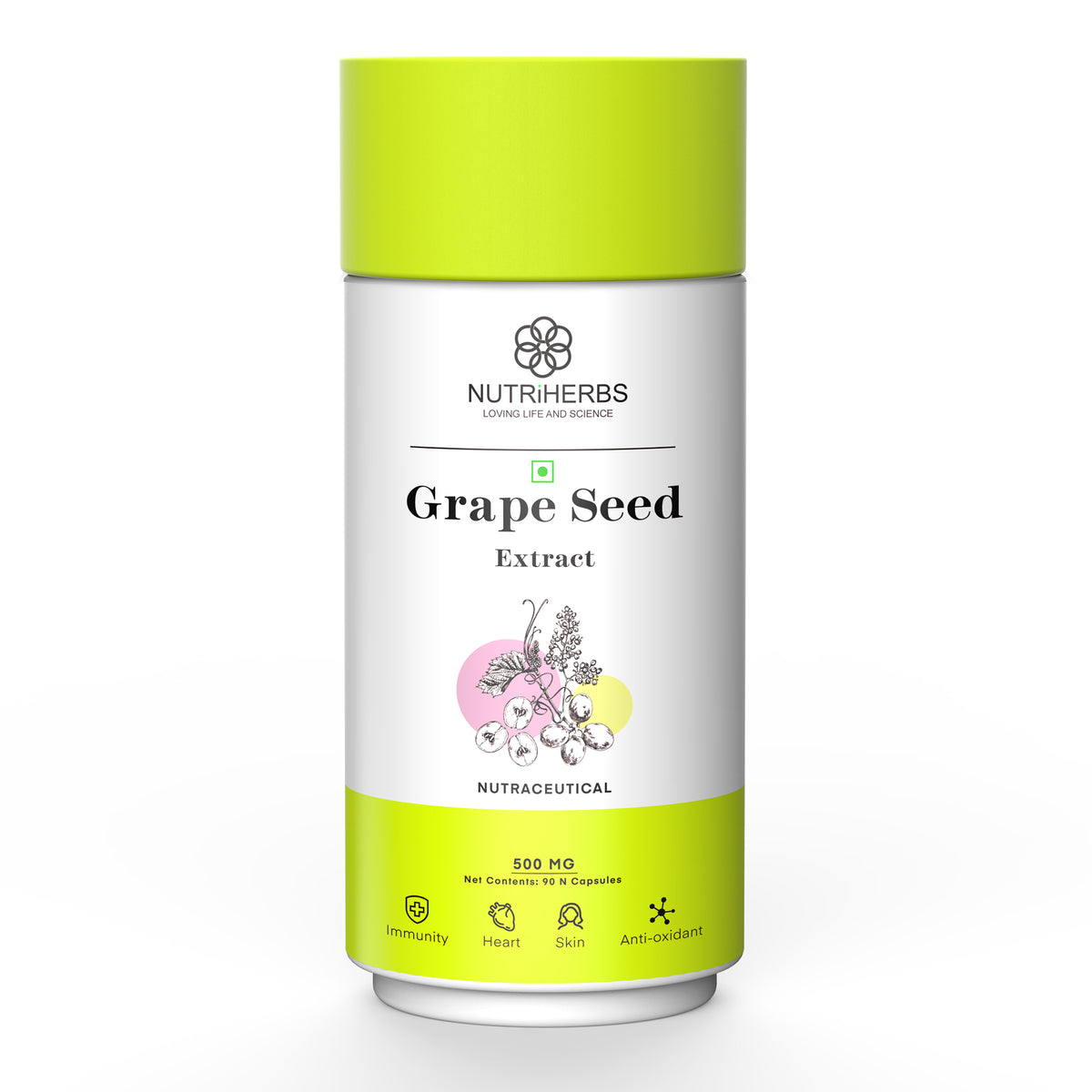 Grape Seed Extract Capsules – Antioxidant Support image 2