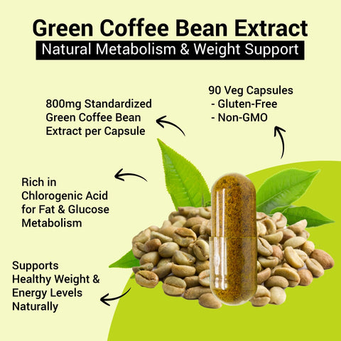 Green Coffee Bean  Extract Capsule